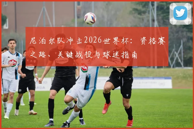 尼泊尔队冲击2026世界杯:资格赛之路、关键战役与球迷指南